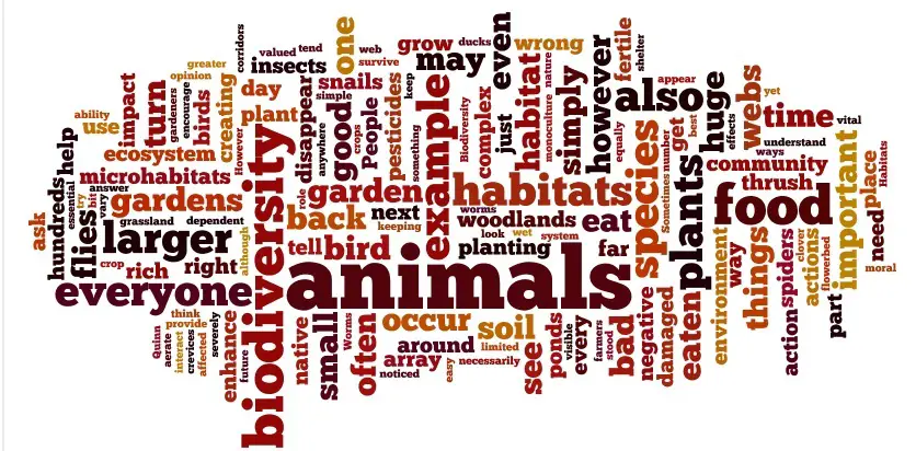 30-mcq-on-enzymes-enzyme-questions-and-answers