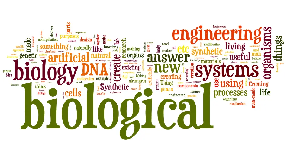 42 Cell Division Quiz Questions with Answers - Cell Biology