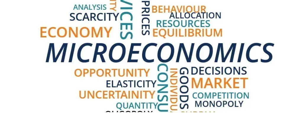 Micro Economics Quiz - 30 Questions / Answers