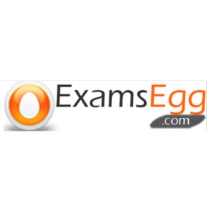 Examsegg logo